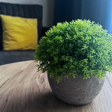 Sleep & Fly & I Comfort Daire