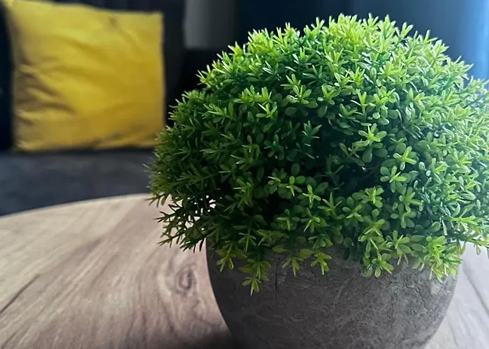 Sleep & Fly & I Comfort Apartament