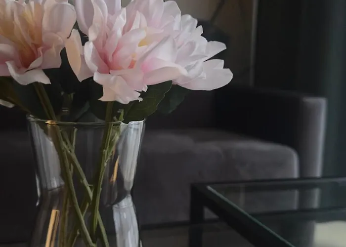 Sleep & Fly & I Comfort